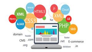 HTML Website Designs Training in Hyderabad